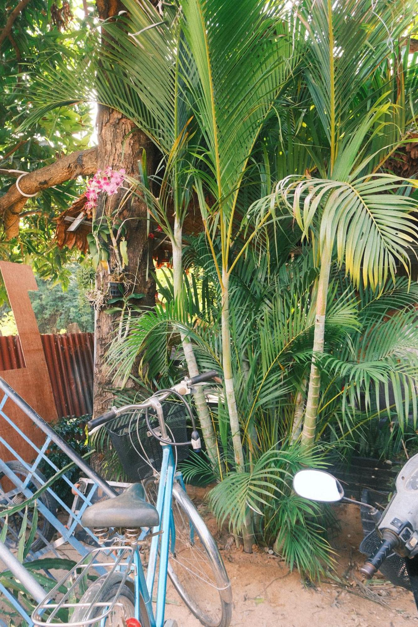 Siem Reap Homesteading II Eksteriør bilde